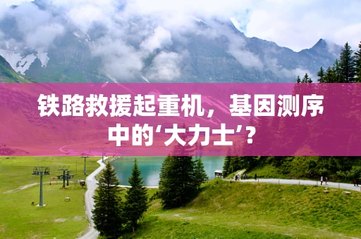 铁路救援起重机，基因测序中的‘大力士’？