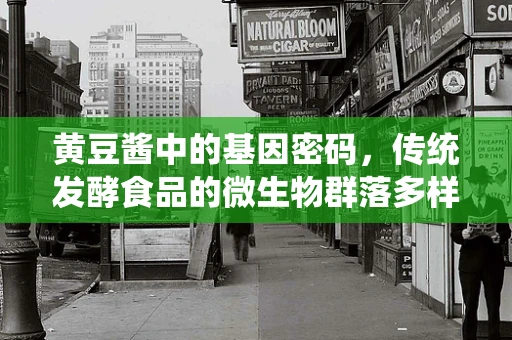 黄豆酱中的基因密码，传统发酵食品的微生物群落多样性