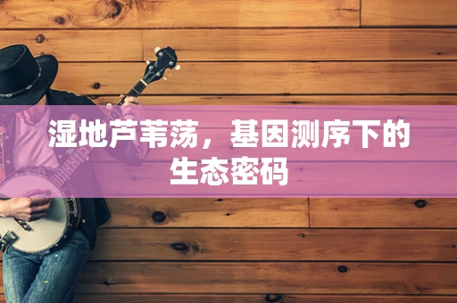 湿地芦苇荡，基因测序下的生态密码