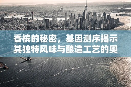 香槟的秘密，基因测序揭示其独特风味与酿造工艺的奥秘