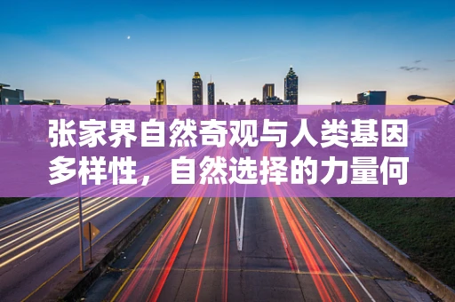 张家界自然奇观与人类基因多样性，自然选择的力量何在？