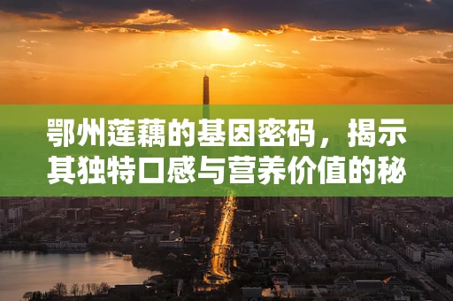 鄂州莲藕的基因密码，揭示其独特口感与营养价值的秘密