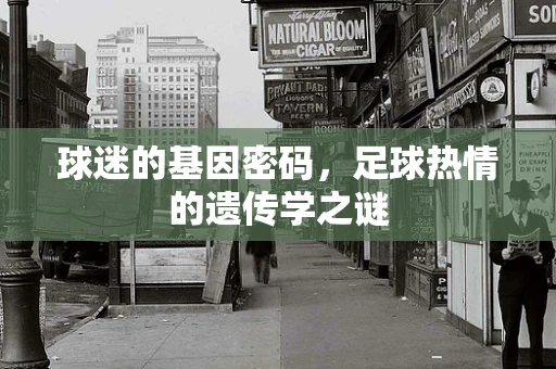 球迷的基因密码，足球热情的遗传学之谜