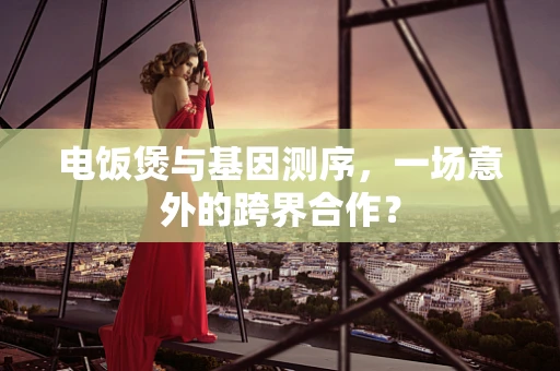 电饭煲与基因测序，一场意外的跨界合作？