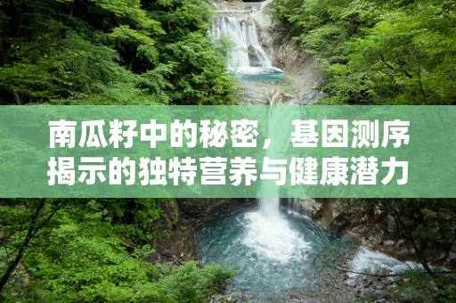 南瓜籽中的秘密，基因测序揭示的独特营养与健康潜力