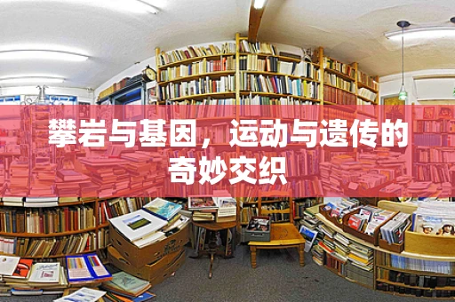 攀岩与基因，运动与遗传的奇妙交织
