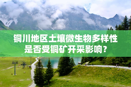 铜川地区土壤微生物多样性是否受铜矿开采影响？