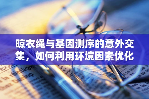 晾衣绳与基因测序的意外交集，如何利用环境因素优化DNA样本保存？