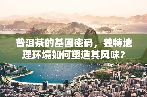普洱茶的基因密码，独特地理环境如何塑造其风味？