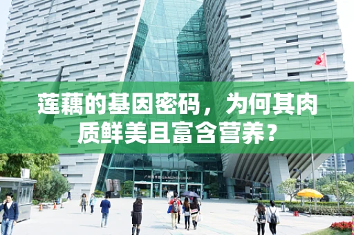 莲藕的基因密码，为何其肉质鲜美且富含营养？