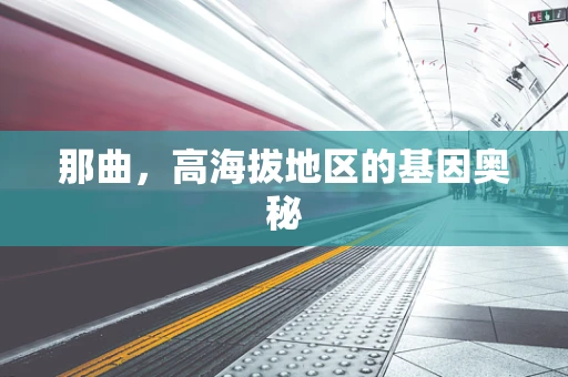 那曲，高海拔地区的基因奥秘