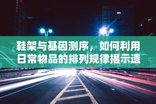 鞋架与基因测序，如何利用日常物品的排列规律揭示遗传密码的奥秘？