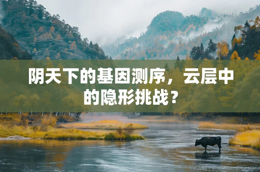 阴天下的基因测序，云层中的隐形挑战？