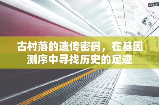 古村落的遗传密码，在基因测序中寻找历史的足迹