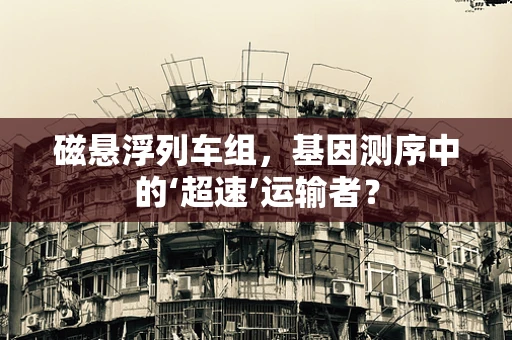 磁悬浮列车组，基因测序中的‘超速’运输者？