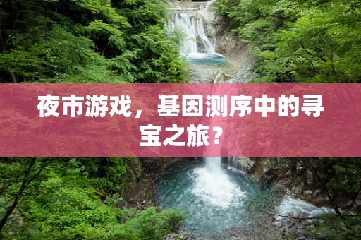 夜市游戏，基因测序中的寻宝之旅？
