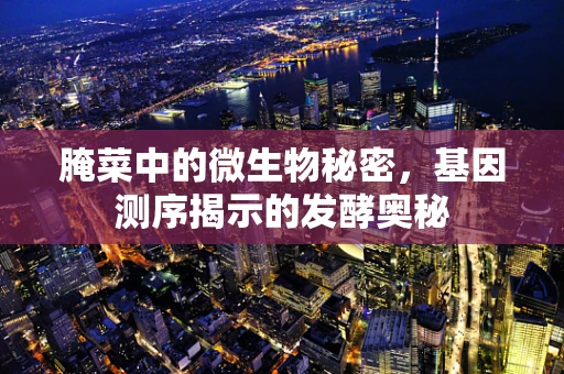 腌菜中的微生物秘密，基因测序揭示的发酵奥秘