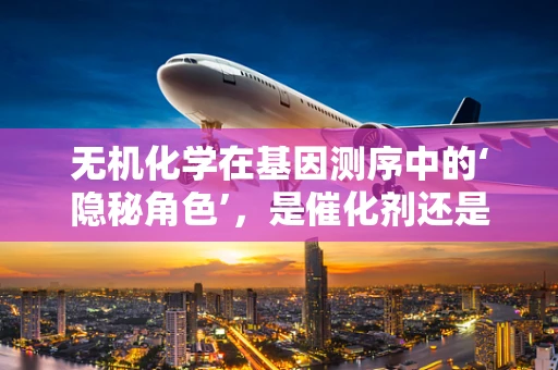 无机化学在基因测序中的‘隐秘角色’，是催化剂还是绊脚石？