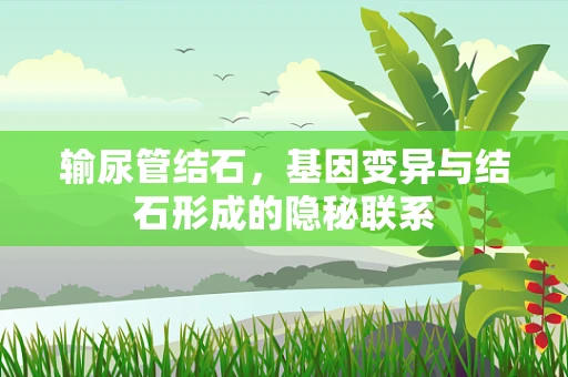 输尿管结石，基因变异与结石形成的隐秘联系