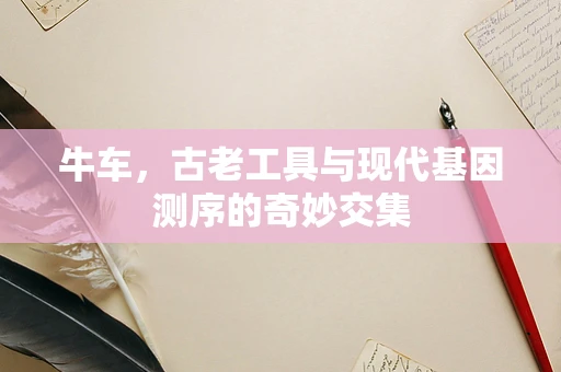 牛车，古老工具与现代基因测序的奇妙交集