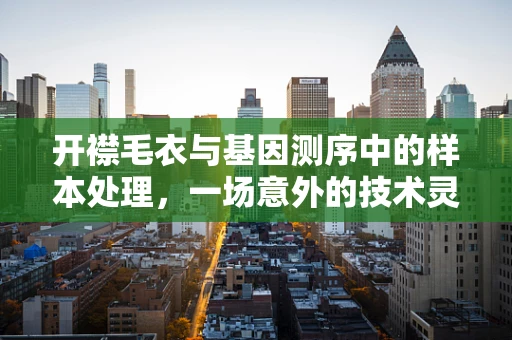 开襟毛衣与基因测序中的样本处理，一场意外的技术灵感碰撞？
