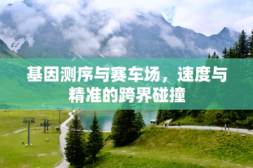 基因测序与赛车场，速度与精准的跨界碰撞