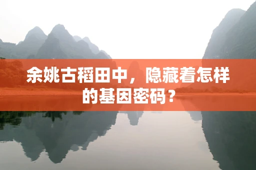 余姚古稻田中，隐藏着怎样的基因密码？