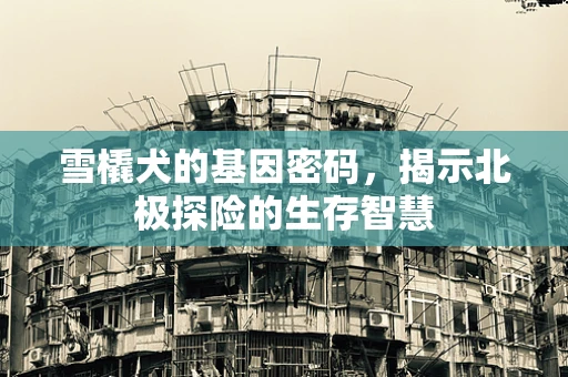 雪橇犬的基因密码，揭示北极探险的生存智慧