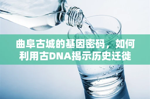 曲阜古城的基因密码，如何利用古DNA揭示历史迁徙轨迹？