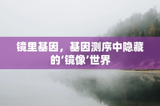 镜里基因，基因测序中隐藏的‘镜像’世界