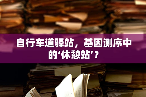 自行车道驿站，基因测序中的‘休憩站’？