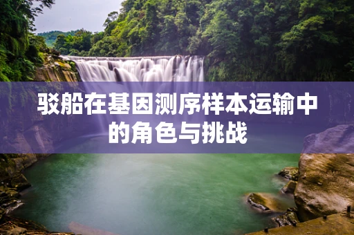 驳船在基因测序样本运输中的角色与挑战