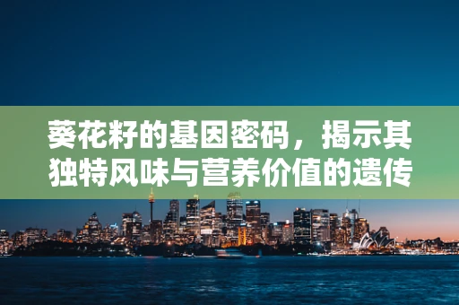 葵花籽的基因密码，揭示其独特风味与营养价值的遗传基础