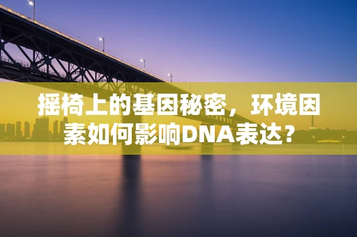 摇椅上的基因秘密，环境因素如何影响DNA表达？