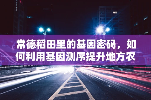 常德稻田里的基因密码，如何利用基因测序提升地方农业的‘绿色’产量？