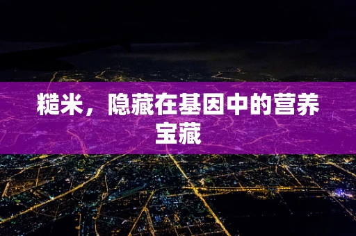 糙米，隐藏在基因中的营养宝藏