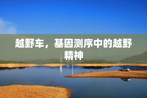 越野车，基因测序中的越野精神