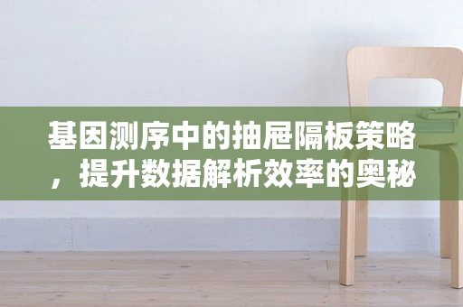 基因测序中的抽屉隔板策略，提升数据解析效率的奥秘？