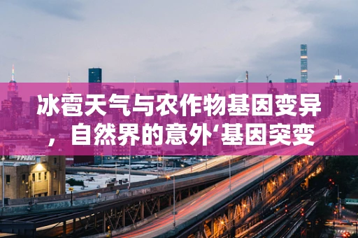 冰雹天气与农作物基因变异，自然界的意外‘基因突变器’？