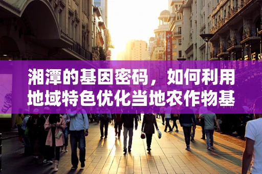 湘潭的基因密码，如何利用地域特色优化当地农作物基因测序？