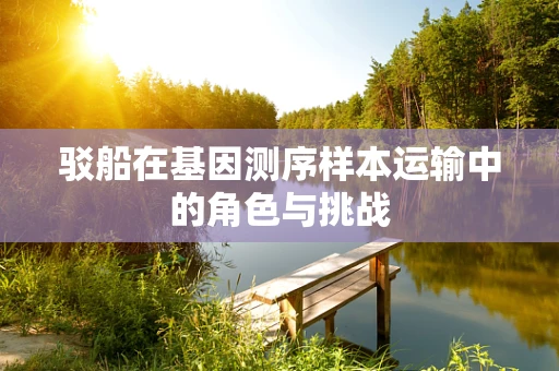 驳船在基因测序样本运输中的角色与挑战