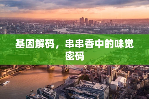 基因解码，串串香中的味觉密码