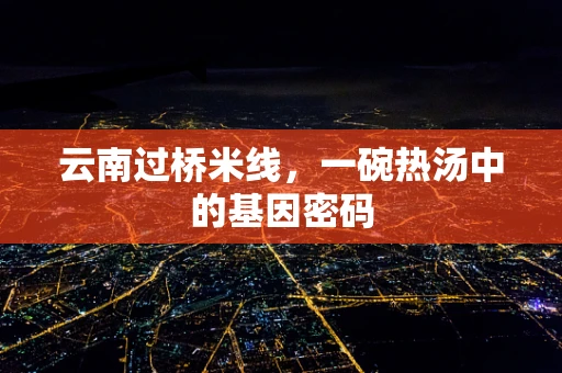云南过桥米线，一碗热汤中的基因密码