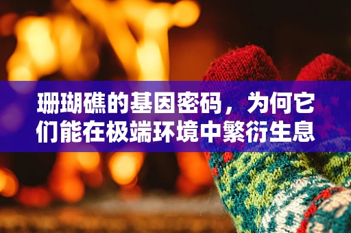珊瑚礁的基因密码，为何它们能在极端环境中繁衍生息？