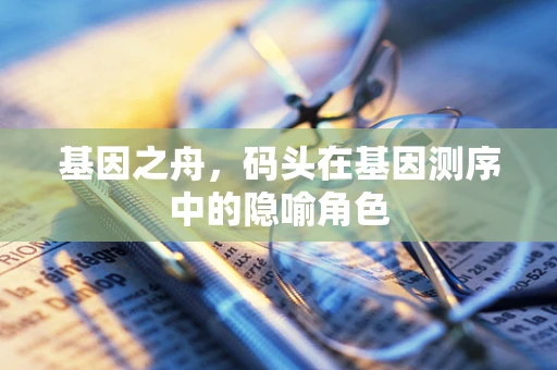 基因之舟，码头在基因测序中的隐喻角色