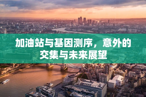 加油站与基因测序，意外的交集与未来展望
