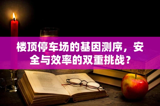 楼顶停车场的基因测序，安全与效率的双重挑战？