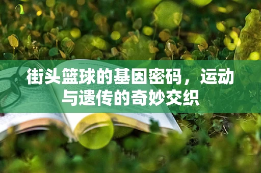 街头篮球的基因密码，运动与遗传的奇妙交织