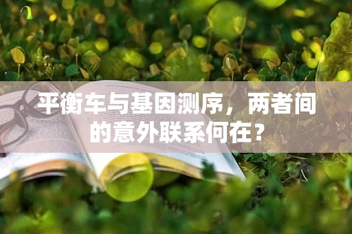 平衡车与基因测序，两者间的意外联系何在？