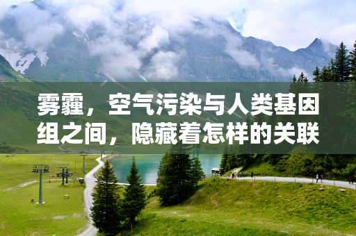 雾霾，空气污染与人类基因组之间，隐藏着怎样的关联？